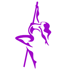 Intice Pole Dance Fitness