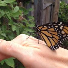 Tracey Bourne LMHC Licensed Mental Health Counselor