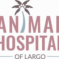 Animal Hospital of Largo