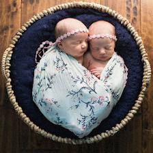 Petal & Vine Photography