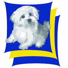 Benson's Doggie Bag