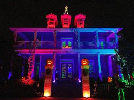 Skeleton Plantation at FishHawk