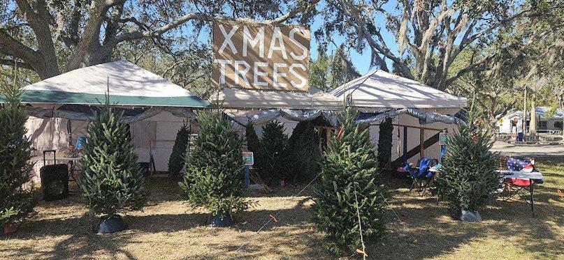 Christmas Tree Lot - Troop 339