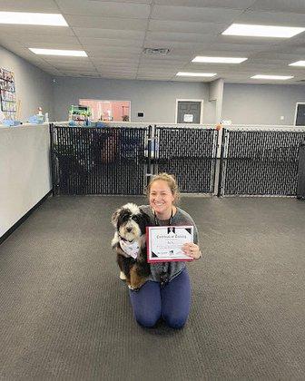 John K9 Dog Training