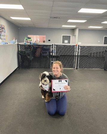 John K9 Dog Training