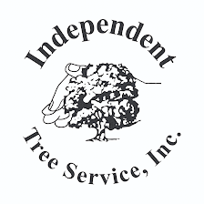Independent Tree Service, Inc.