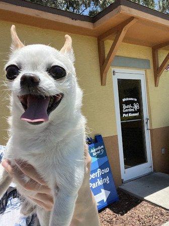 Busch Gardens Pet Kennel