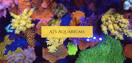 AJ's Aquariums LLC