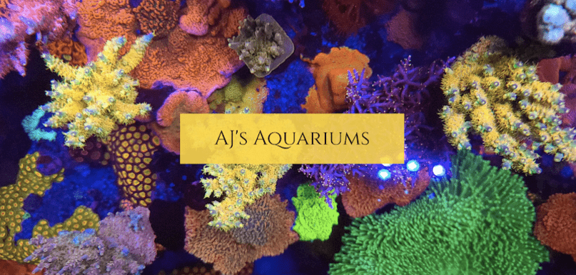 AJ's Aquariums LLC