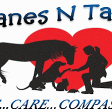 Manes N Tails Professional Pet Sitting