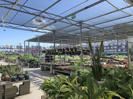 Garden Center at The Home Depot