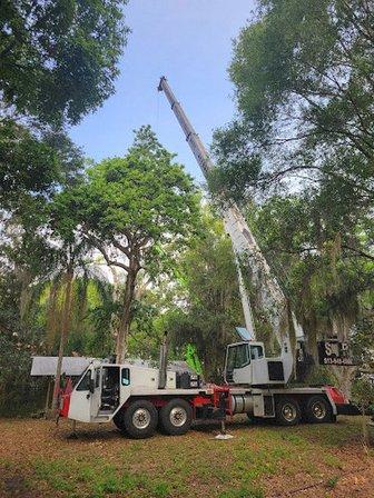 Independent Tree Service, Inc.