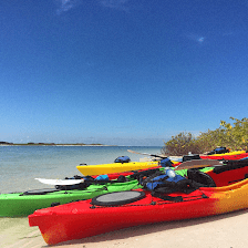 Coastal Kayak Charters