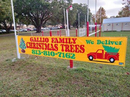 Gallio Family Christmas Trees