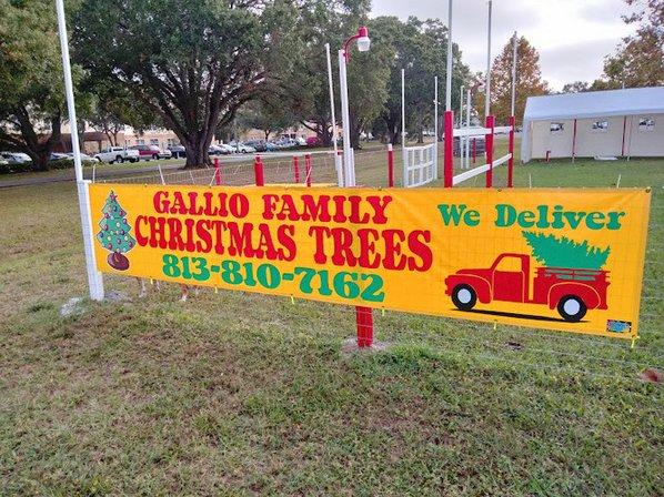Gallio Family Christmas Trees