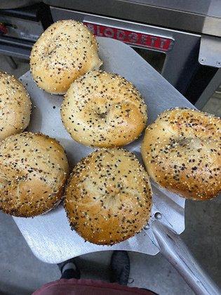 Bagel Babe Co.