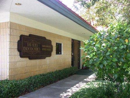 Bay Area Endodontics LLP