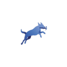 Blue Fetch