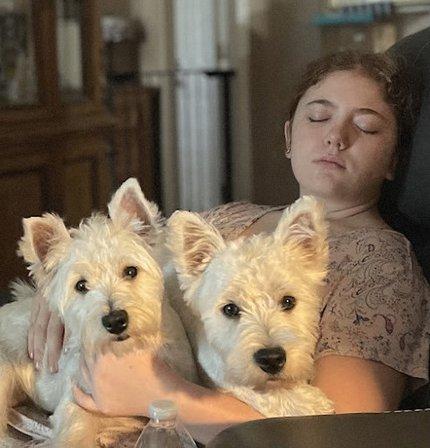 ourwesties2.com