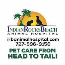 Indian Rocks Beach Animal Hospital