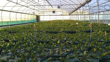Riverview Flower Farm Inc