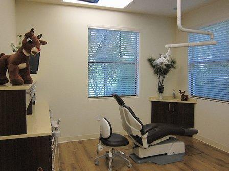 South Tampa Pediatric Dentistry