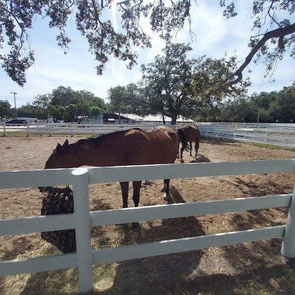 Perennial Farm LLC
