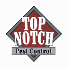 Top Notch Pest Control