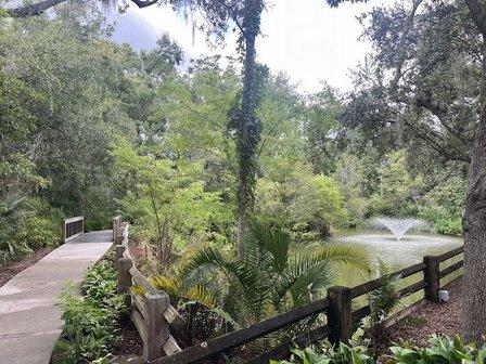 Bromeliad Garden