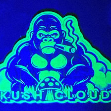 Kush Cloud Smoke Shop