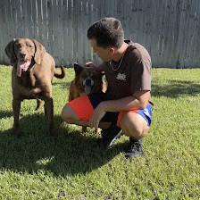 Kellogg's Kennel