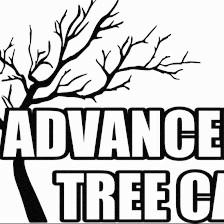 Advanced Arbor Professional Tree Care