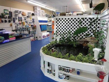 Darrell's Aquarium