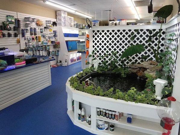 Darrell's Aquarium