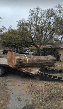 J&E Tree Service