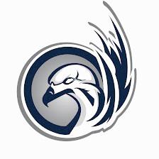 Nest Hockey Academy