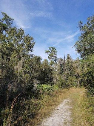 Rhodine Scrub Nature Preserve
