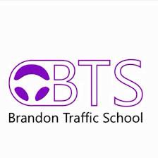BRANDON TRAFFIC SCHOOL LLC