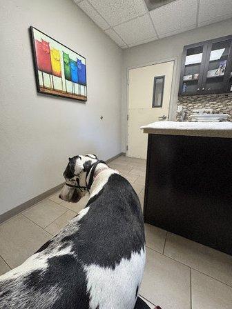 Haines Road Animal Hospital