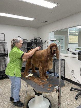 Kellogg's Kennel