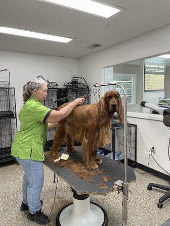 Kellogg's Kennel