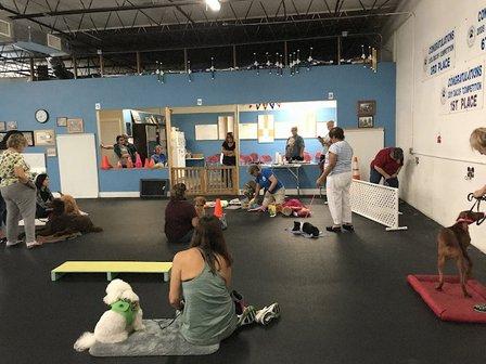 Upper Suncoast Dog Training Club