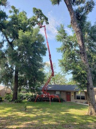 Lee Claxton, ISA Certified Arborist Tree Service