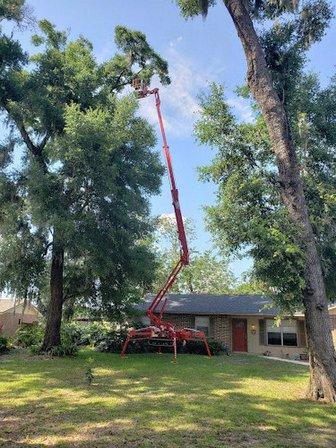 Lee Claxton, ISA Certified Arborist Tree Service