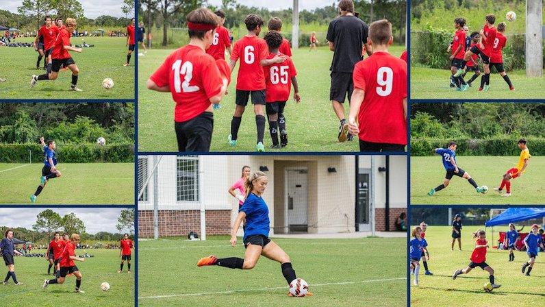 Tampa Bay United Soccer Club - Wesley Chapel