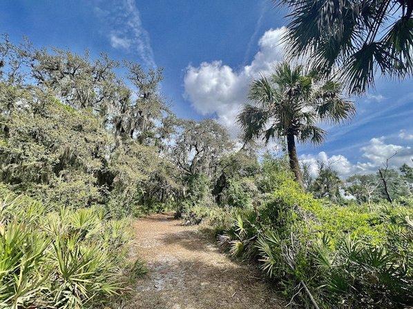 Fish Hawk Nature Preserve