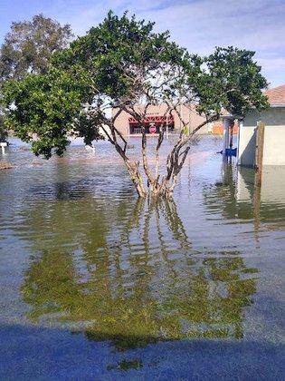 Zephyrhills, florida