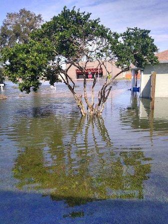 Zephyrhills, florida