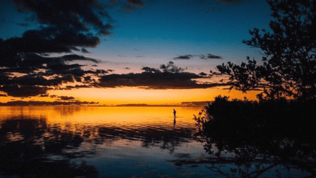 Bay to Bay Environmental LLC