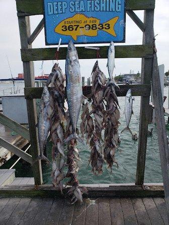 Miss Pass-A-Grille Deep Sea